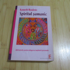 KENNETH MEADOWS--SPIRITUL SAMANIC -FACTURA