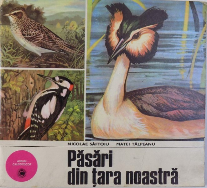 PASARI DIN TARA NOASTRA , TEXT DE MATEI TALPEANU , GRAFICA DE NICOLAE SAFTOIU , 1978