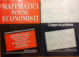 Matematici pentru economisti 2 volume