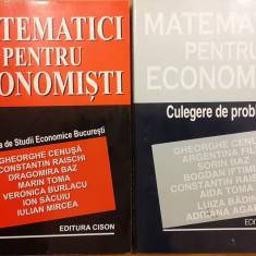 Matematici pentru economisti 2 volume