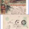 Romania-Felicitare Anul Nou 1900-litografie, RR