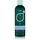 HASK Tea Tree Oil &amp; Rosemary sampon revigorant pentru un scalp uscat, atenueaza senzatia de mancarime 355 ml