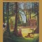 The Pearl and the Hut Volume II: Anthroposophical Soul Wisdom for Adults with Divorced Parents