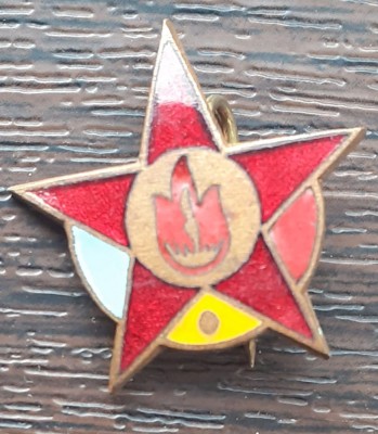 INSIGNA ROMANIA, DE PIONIER STELUTA - GRADUL II foto