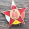 INSIGNA ROMANIA, DE PIONIER STELUTA - GRADUL II