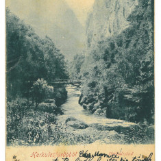5464 - Baile HERCULANE, Caras-Severin, Litho, Romania - old postcard - used 1902