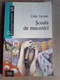 Scoala de Mucenici - Calin Torsan