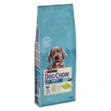 Dog Chow Puppy Large Breed, hrana uscata pentru caini, Curcan, 14 kg