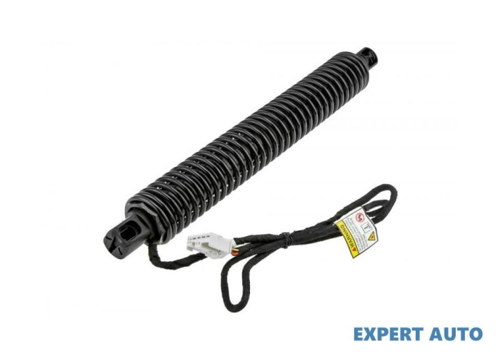 Telescop hayon BMW X5 (2007-&gt;) [E70] #1