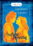 Cumpara ieftin Tăr&acirc;mul Mistic. Suflete pereche