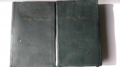 Osszes Versei - Ady Endre , 2 volume foita biblie 652+696 pagini (5+1)r foto