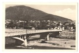 SV * Piatra Neamt RPR * PODUL PESTE BISTRITA * Vedere partiala * 1953, Circulata, Printata