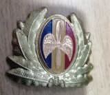 QW14 - Emblema militara / cuc - aviatie - anii 1990 - piesa de colectie