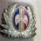 QW14 - Emblema militara / cuc - aviatie - anii 1990 - piesa de colectie