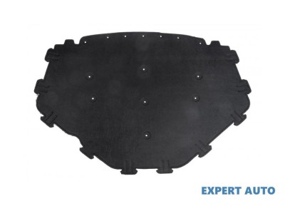 Pasla capota fata BMW X5 (2007-&amp;gt;) [E70] #1 foto