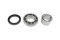 icon 2