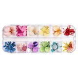 Cumpara ieftin Flori Uscate Unghii LUXORISE - Grace Touch, 12 modele