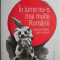 In lume nu-s mai multe Romanii (planetei noastre asta i-ar lipsi) &ndash; Radu Paraschivescu