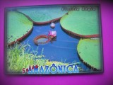 HOPCT 7306 VITORIA REGIA-SELVA AMAZONICA -BRAZILIA -AMERICA DE SUD -NECIRCULATA