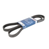 Curea Transmisie Caneluri BMW Seria 5 E39 (1995-2003) 1987946099 Continental