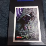 program Poli Timisoara - CFR Cluj