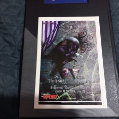 program Poli Timisoara - CFR Cluj foto