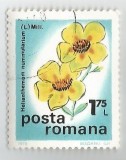 *Romania, LP 893/1975, Flori de camp, 1,75 lei, eroare, oblit.