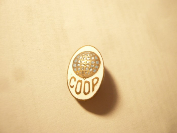 Insigna studenteasca interbelica ASE - COOP ,h=1,8cm