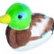 Pasare cu sunet Rata Salbatica - MALLARD DUCK