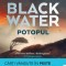 Blackwater I: Potopul - Michael Mcdowell