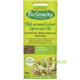 Amestec de Seminte Aromate pentru Germinat Ecologic/Bio 40g