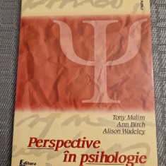 Perspective in psihologie Tony Malin Ann Birch