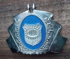QW14 - Emblema militara - anii 1990 - politie - piesa de colectie
