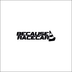 Sticker Auto , zBecause Race Car, , Autocolant Rezistent si Stylish