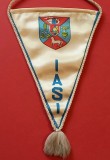 Fanion - Stema judetului IASI