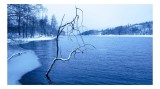 Tablou Canvas, "Frumusețea liniștită a iernii nordice", Rece, Albastru, &Icirc;nghețat, Tăcut, Robuști, Singuratic, Cerneală, Calm, &Icirc;nc&acirc;ntător, &Icirc;ntunecat, 3