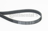 CONTINENTAL CTAM 6PK1130 Curea transmisie cu caneluri