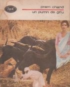 Un pumn de griu foto