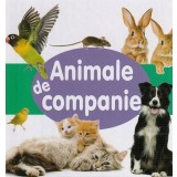 Animale de companie - Board book - Flamingo
