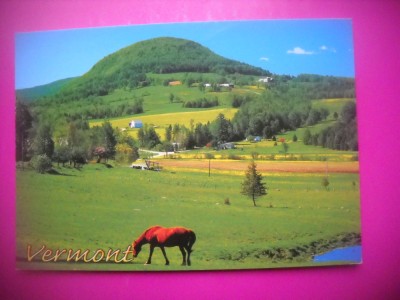 HOPCT 8350 CAL PE PAJISTE-VERMONT -SUA-AMERICA DE NORD -NECIRCULATA- foto