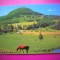 HOPCT 8350 CAL PE PAJISTE-VERMONT -SUA-AMERICA DE NORD -NECIRCULATA-
