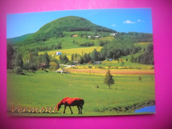 HOPCT 8350 CAL PE PAJISTE-VERMONT -SUA-AMERICA DE NORD -NECIRCULATA-