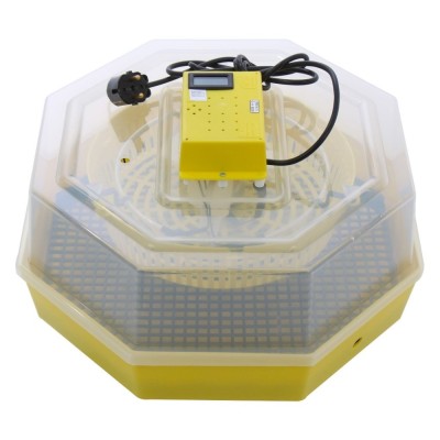 Incubator electric pentru oua, Cleo 5TH, termometru si termohigrometru, galben foto