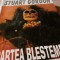 CARTEA BLESTEMELOR - STUART GORDON, ED VIVALDI 408 pag