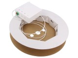 Cutie Conexiuni FTTH Logilink 20m SMF G657A2 OS2 LSZH LC/APC Duplex Alb