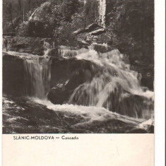 CPIB 15910 CARTE POSTALA - SLANIC MOLDOVA. CASCADA, RPR