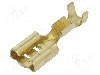 Terminal tip plat, pentru surub {{Orificiu pentru &amp;#351;urub}}, IMP - 672.08.00.9