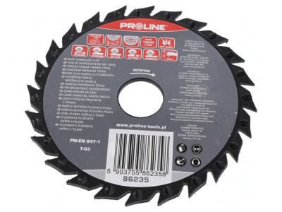 Cutting Wheel 115mm with Rasp 22.23mm Hole foto