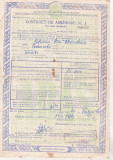 bnk div ADAS - Contract de asigurare - 1974