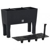 vidaXL Strat de grădină &icirc;nălțat antracit 60x25x46 cm ratan PP